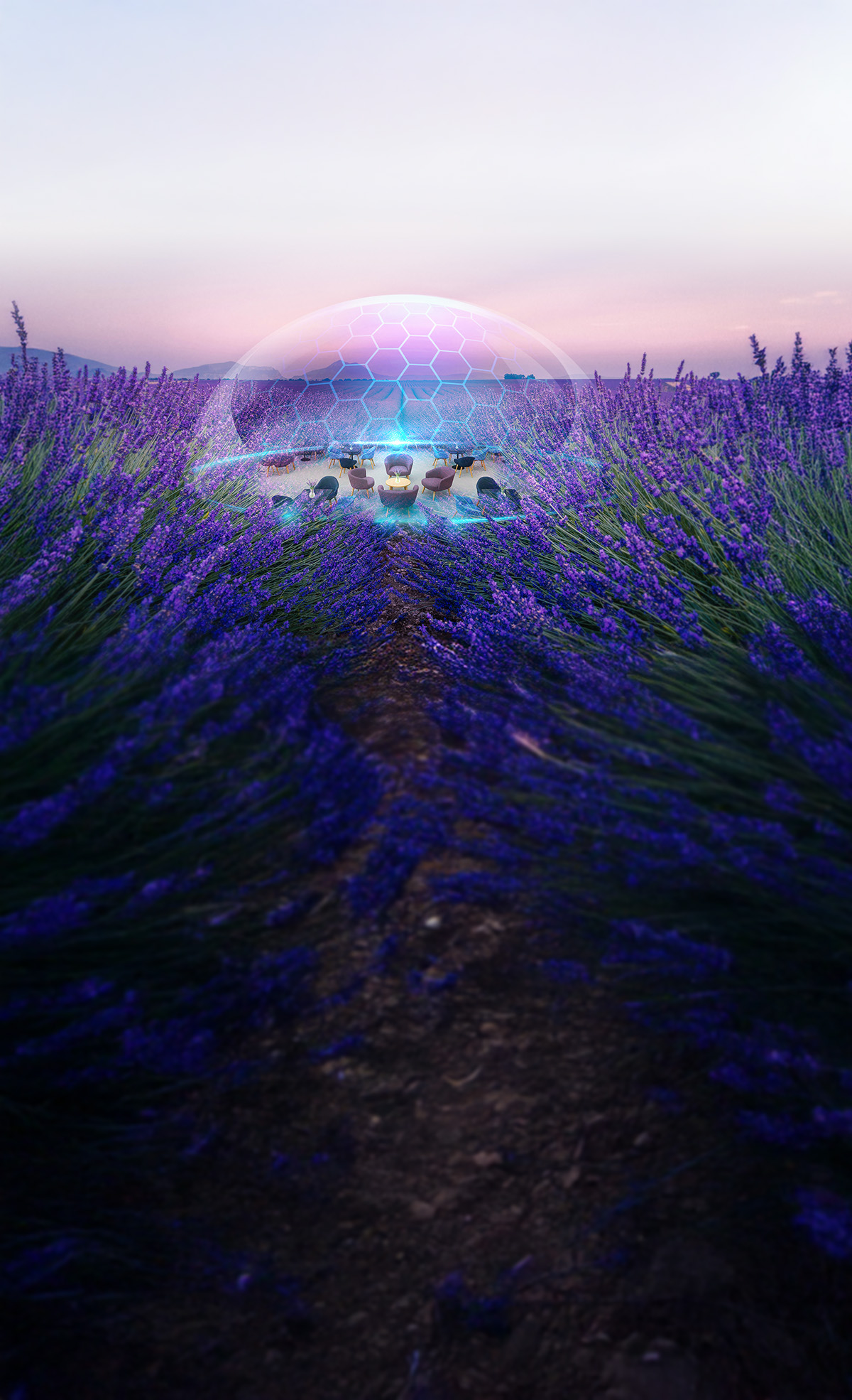 The Violet Vault dome glowing at sunset in a field of lavender